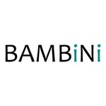 Bambini Prams discount code